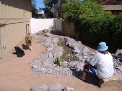 Pet Friendly Phoenix Disappearing Pondless Stream by The Pond Gnome