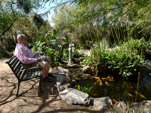 Man enjoying Scottsdale pond by The Pond Gnome