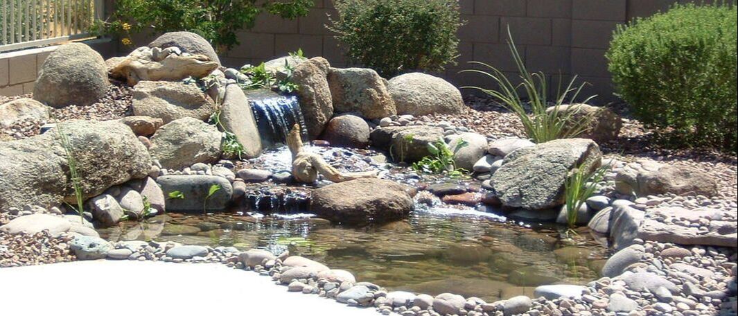 A pond by The Pond Gnome in Phoenix, AZ