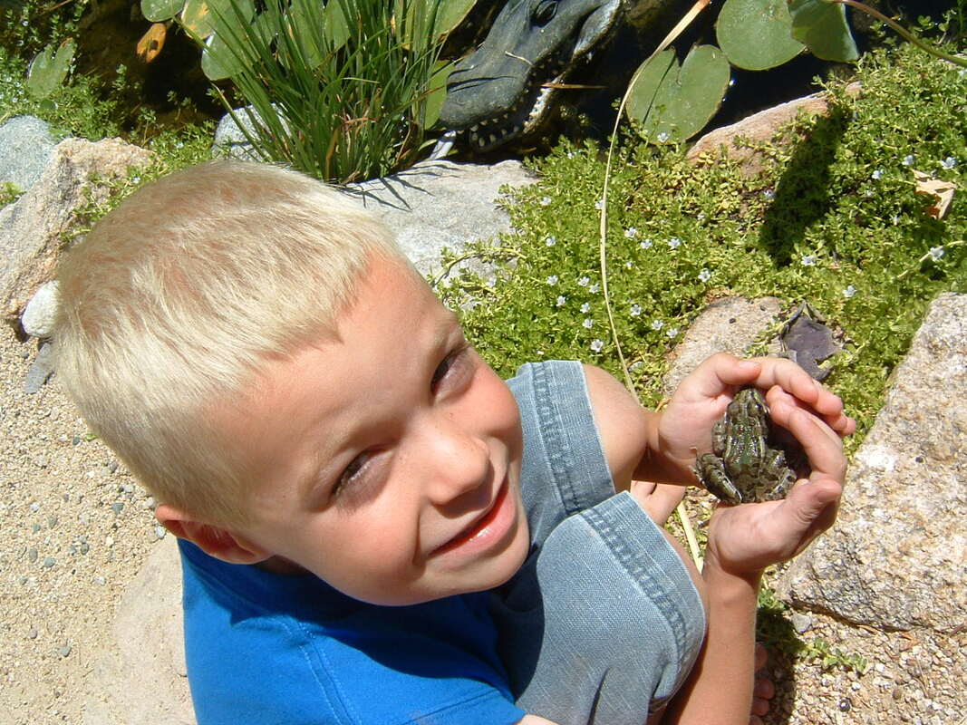 Boy & frog at a pond by The Pond Gnome in Phoenix, AZ