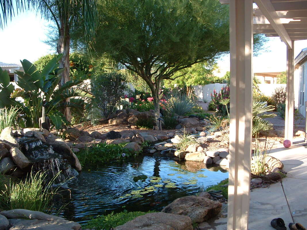 A pond by The Pond Gnome in Phoenix, AZ
