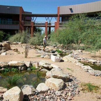 Mesa AZ Disappearing Pondless Stream by The Pond Gnome