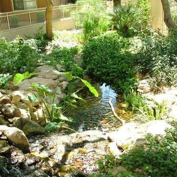 Scottsdale AZ Disappearing Pondless Stream and Rainwater Harvesting by The Pond Gnome