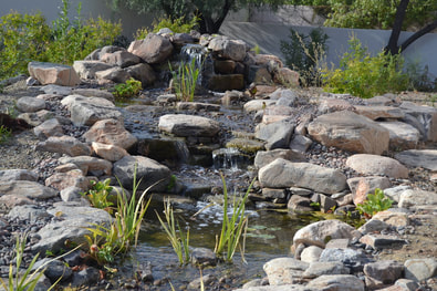 Paradise Valley AZ Disappearing Pondless Stream by The Pond Gnome