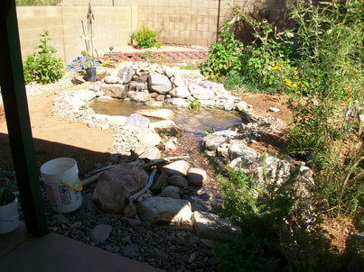 Chandler AZ disappearing pondless stream by The Pond Gnome