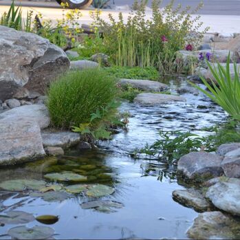 Peoria AZ Disappearing Pondless Stream and Rainwater Harvesting by The Pond Gnome