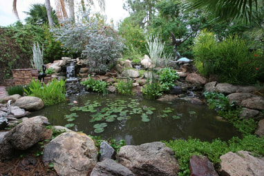 Pond by The Pond Gnome in Scottsdale, AZ