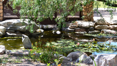 Commercial Phoenix Pond Installation in Phoenix, AZ - The ...